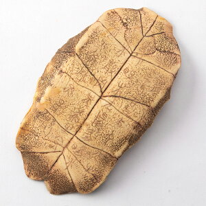 b Tb vJ Tb m  Ñ㕶 ی`   u 