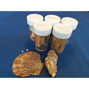 قĊL@yk@^j@^Ȃǁ@9_iыƁEYƁjZbg