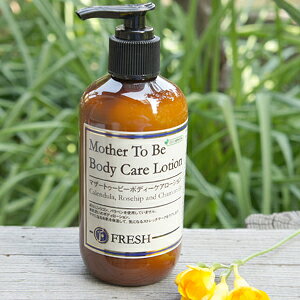 }U[gD[r[{fB[PA[V@CGMF@250ml@Y@Xgb`}[Ng[gg[V FRESH@tbV@;100AR { YRX @{fB[V