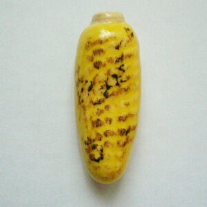 u@ĂƂ낱@1@yZāzy`OX֔z;킢  낢@RV@Ƃс@CzVq }X^[YNtg@Ă낱@XC[gR