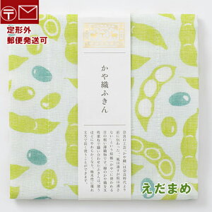 Dӂ ܂߁@}@100@40×30cm@␶nӂ 쐭X y`OX֔z;哤@ā@H@\Cr[Y@soybeen@Ė