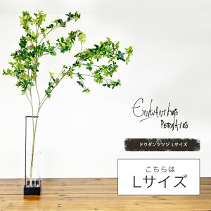 y͂ȂhE_ccWFIׂ3TCYS_M_Lzy݂ǂ̎G݉z ϗtA tFCN O[ CeA G݁@@}@}@rO@C~e[V@}́ymonoKOZZz