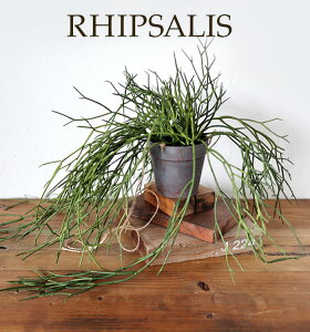 ynMOł郊vTXzy݂ǂ̎G݉z ϗtA tFCN O[ CeA G݁@@GA[vc@͗lւ@C~e[V@Ǌ|@Mtg@v[g