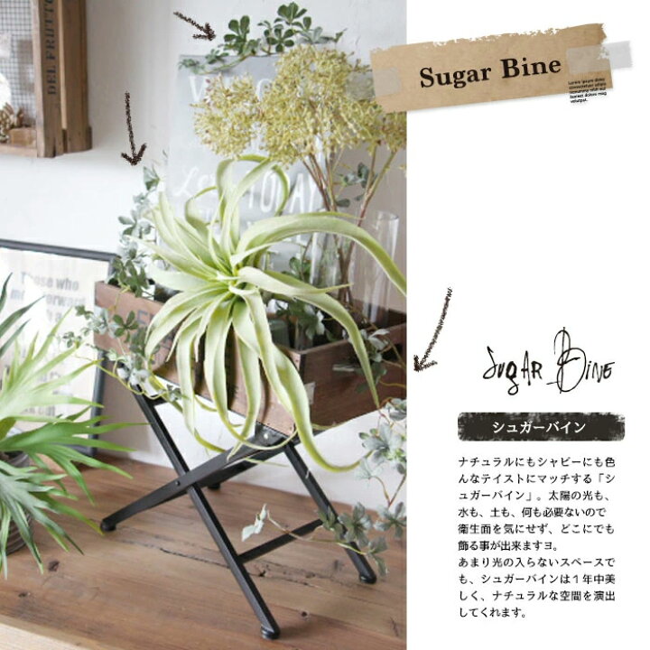 楽天市場】【シュガーバイン】【みどりの雑貨屋】 観葉植物 フェイク 