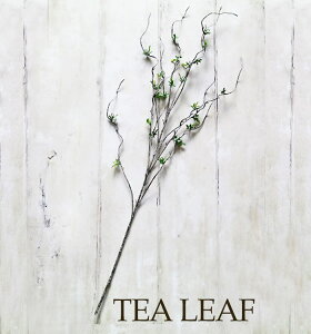 yeB[[tzy݂ǂ̎G݉z ϗtA tFCN O[ CeA G݁@@GA[vc@͗lւ@C~e[V@Ǌ|@Mtg@v[g@؁ymonoKOZZ