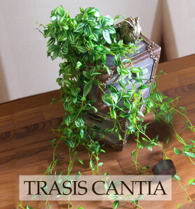 ygfBXJeBAzy݂ǂ̎G݉z ϗtA tFCN O[ CeA G݁@@GA[vc@͗lւ@C~e[V@Ǌ|@Mtg@v[g@