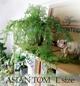 yAWA^LTCYzy݂ǂ̎G݉z ϗtA tFCN O[ CeA G݁@@GA[vc@͗lւ@C~e[V@Ǌ|@Mtg@v[g@