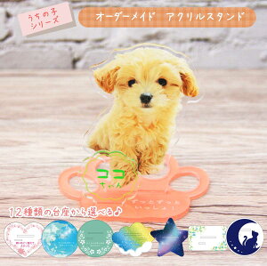 y12ނIׂ遙 ŔtIzybg ANX^h tHgX^h ʐ^ I[_[Ch IWi A bZ[W 킢   L ˂  Ƃ  nX