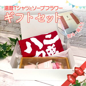 җj җ tVc TVc \[vt[ ԑ IWi  Mtg{bNX Zbg v[g  Ԃ bh 60 a  Y fB[X j    