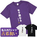 古希祝い 古希 tシャツ Tシャツ お祝い プレゼント 名入れ 名前入り大きいサイズ 紫 パープル 70歳 誕生日 おしゃれ サプライズ メンズ レディース 男性 女性 父 母 上司 おもしろ ちゃんちゃんこ の代わり 【七十路なう】