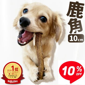 ■スーパーセール10％OFF×ポイント5倍【 10cm 小型犬 】鹿の角 犬 おもちゃ 犬用 しかのつの 噛むおもちゃ 歯磨き 骨 鹿の骨 かむ 鹿のツノ 鹿のつの 犬のおもちゃ 北海道産 エゾ鹿 蝦夷鹿 しつけ いたずら防止 無添加 おやつ エゾジカ 鹿骨 国産 鹿 monolife モノライフ