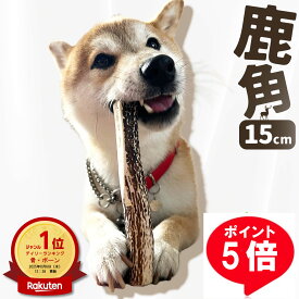 ■ポイント5倍 ★ 12/11 25:59 まで【 15cm 中型犬 】 鹿の角 犬 おもちゃ 犬用 しかのつの 噛むおもちゃ 歯磨き 骨 鹿の骨 かむ 鹿のツノ 鹿のつの 犬のおもちゃ 北海道産 エゾ鹿 蝦夷鹿 しつけ いたずら防止 無添加 おやつ エゾジカ 鹿骨 国産 鹿 角 monolife モノライフ