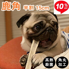 ■スーパーセール10％OFF×ポイント5倍【 15cm 中型犬 縦割り 】 鹿の角 犬 おもちゃ 犬用 しかのつの 噛むおもちゃ 歯磨き 骨 鹿の骨 かむ 鹿のツノ 鹿のつの 犬のおもちゃ 北海道産 エゾ鹿 蝦夷鹿 しつけ いたずら防止 無添加 おやつ エゾジカ 鹿骨 国産 鹿 角 モノライフ