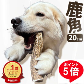 ■ポイント5倍 ★ 12/11 25:59 まで【 20cm 大型犬 】鹿の角 犬 おもちゃ 犬用 しかのつの 噛むおもちゃ 歯磨き 骨 鹿の骨 かむ 鹿のツノ 鹿のつの 犬のおもちゃ 北海道産 エゾ鹿 蝦夷鹿 しつけ いたずら防止 無添加 おやつ エゾジカ 鹿骨 国産 鹿 角 monolife モノライフ