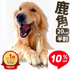 ■スーパーセール10％OFF×ポイント5倍【 20cm 大型犬 縦割り 】 鹿の角 犬 おもちゃ 犬用 しかのつの 噛むおもちゃ 歯磨き 骨 鹿の骨 かむ 鹿のツノ 鹿のつの 犬のおもちゃ 北海道産 エゾ鹿 蝦夷鹿 しつけ いたずら防止 無添加 おやつ エゾジカ 鹿骨 monolife モノライフ