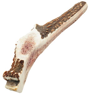 y 15cm l ^ z ̊p 4   Y  G]WJ Y  p K monolife