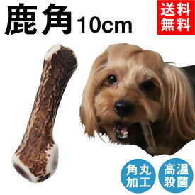 【 10cm 小型犬 】鹿の角 犬 おもちゃ 無添加 おやつ エゾジカ 国産 鹿 角 ガム デンタルケア monolife