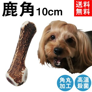 鹿 犬用おもちゃ 角の通販 価格比較 価格 Com