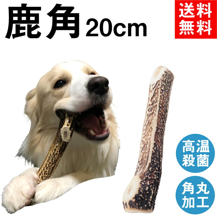 楽天市場 cm 大型犬 鹿の角 犬 おもちゃ 無添加 おやつ エゾジカ 国産 鹿 角 ガム デンタルケア Monolife モノライフ 楽天市場店
