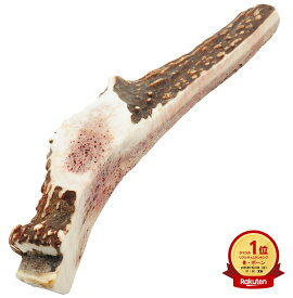 【 15cm 四つ割り 中型犬 】 鹿の角 犬 おもちゃ 犬用 しかのつの 噛むおもちゃ 歯磨き 骨 鹿の骨 かむ 鹿のツノ 鹿のつの 犬のおもちゃ 北海道産 エゾ鹿 蝦夷鹿 しつけ いたずら防止 無添加 おやつ エゾジカ 鹿骨 国産 鹿 角 骨ガム ボーン monolife モノライフ