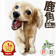 【 10cm 小型犬 】鹿の角 犬 おもちゃ 犬用 しかのつの 噛むおもちゃ 歯磨き 骨 鹿の骨 かむ 鹿のツノ 鹿…
