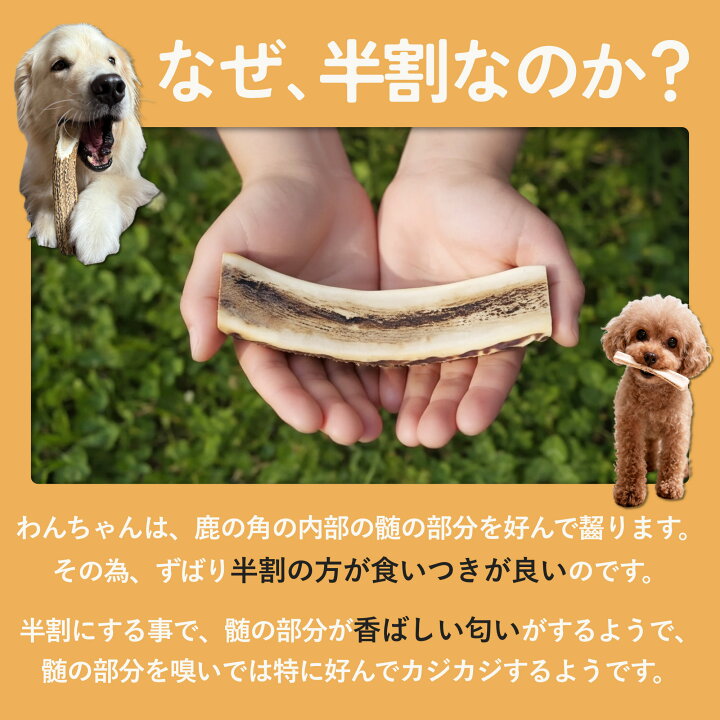 楽天市場】【 10cm 小型犬 縦割り 】 鹿の角 犬 おもちゃ 犬用 しかの 