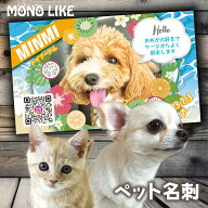 【ペット友達増える♬】ペット 名刺 うちの子名刺 犬 イヌ 猫 ネコ 30種類 50枚 100枚 写真 写真入り ウ…