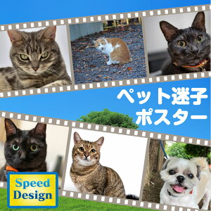 yLINEŊȒPIzqybg `V |X^[ f[^쐬 ̎q E ss T { ObY ȂȂ  L  CR {p f[^n SNSgUΉ Rrj v