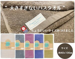 y傫ȂoX^Iz40×100@100I[KjbN@Y@RpNg@傤ǂTCY@nK[ɂĕł@^I@{@@オ@z@_炩