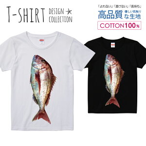 ^C ^  ނ tBbVO t TVc fB[X K[Y TCY S M L   100% Ȃ Ȃ  vgtVc Rbg lC 5.6IX nCNIeB[ TV