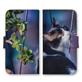 全機種対応 手帳型 スマホケース SIMフリー対応猫 ニャンコ ネコ 美猫 ハチワレ 写真 かわいい 可愛い シンプル 金の生る木 紫色 ブルーカードホルダー付き レザーケース iPhone14 13 12mini Pro Max SE(第3世代) Galaxy Xperia AQUOS