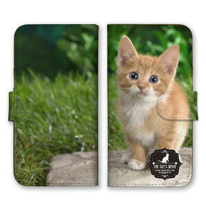 S@Ή 蒠^ X}zP[X SIMt[Ή qL ɂ jR lR  Ƃ˂ Ő  ʐ^ 킢  Vv  iPhone14 13 12mini Pro Max SE(3) Galaxy Xperia AQUOS