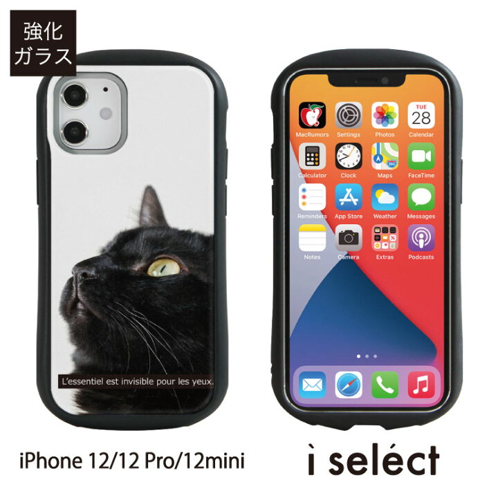 楽天市場 No211 Bk Cat I Select Iphone 12 Pro Mini スマホケース ガラスケース アイフォン12 12pro カバー 9h 猫 可愛い 黒猫 ねこ ネコ アニマル アイフォン 12pro ケース アイフォンx スマホ かわいい D Ani Iphone12 スマホカバー アイフォンケース アイフォン12mini