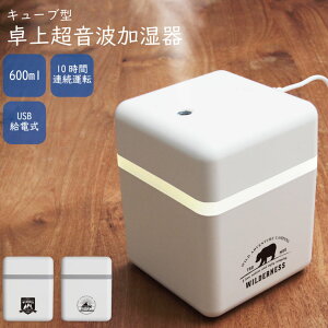 (X[p[Z[N[|zzI) No45 Label USB  g   fXN[N e 10ԃ^C}[t G | 킢   