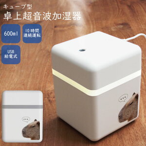 (X[p[Z[N[|zzI) No12 Capybara USB  g   fXN[N e 10ԃ^C}[t G 킢|  