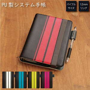 No224 RacingStripesB VXe蒠 ~t J[h | 킢 