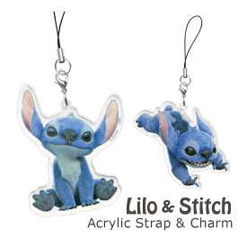 ディズニー アクリルストラップ Lサイズ モバイル 携帯 スマホ アクリルチャーム スティッチ クリア 透明 キーホルダー アクリル ストラップ チャーム かわいい アクキー アクセサリー ファスナーチャーム