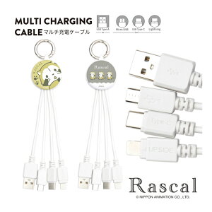 (10OFFN[| 420:00`1101:59) XJ }`[dP[u 5V 2.4A 3̃RlN^ Lightning Type-C microUSB [dR[h LN^[ ObY G ֗ P[u R[h 킢 E쌀 |