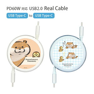 R̃JE\ Type-C to Type-C [ [dP[u 1m iPhone15 AhCh J ObY USB PD60W 2.0 [d  P[u Type-CP[u [dR[h AQUOS Galaxy X}z C^Cv