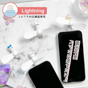  LightningRlN^t ~jN[t@ drsv y oCt@ n` }XRbg X}zɍ iPhonep CgjO LN^[ 킢 MǑ΍  ~j