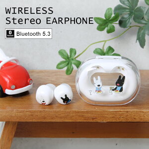 (�撅50�� 10��OFF�N�[�|�� 30���̂�) ���T�ƃK�X�p�[�� ���C�����X�C���z�� Bluetooth 5.3 �[�d�P�[�X�t�� �L�����N�^�[ �C���z�� �X�e���I�C���z�� ���� �u���[�g�D�[�X �P�[�X�t�� �֗� ���킢