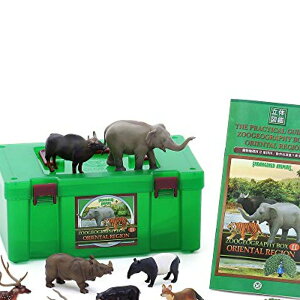 �J�����[�^ �����n����2 �t�B�M���A ���̐}�� (���m�� ���� / 12�� / ������t��) ���A�� �t�B�M���A�{�b�N�X �������� �m��ߋ� �v