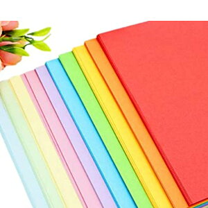 Copeflap 傫܂莆 ܂莆 傫TCY 25cm 100 肪 ʐ܂莆 傫 唻 (10F)