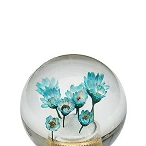 JINGLING ԁ@Vtgmu@NX^MAmu@ėp@{[^ AT MT ԗp YԂɑΉ@JX^ 3ރA_v^[t 1 