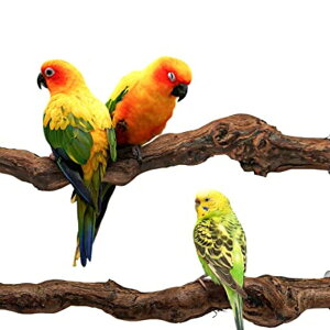 Hreaiaps 2{Zbg CR Ƃ܂ VRuhE̖ ܂Ƃp[` CR ~܂ ܂ X^h } CR  