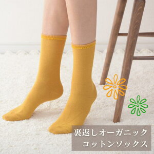 y Ԃ I[KjbN Rbg \bNX z  ₦ _ C  |GXe |E^ D  Sn ubN uE ۃx[W }X^[h