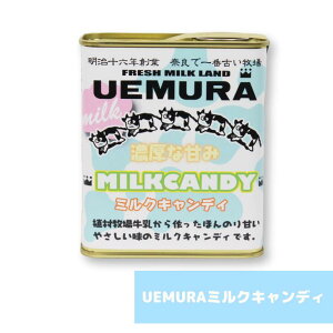 UEMURA~NLfB Aq yY ݂₰ Mtg ޗ lC 蕨 َq  ~N   A