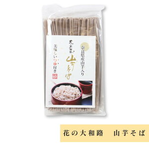 Ԃ̑aH R 160g×1 26g×2 {Hi yY ݂₰ Mtg  lC 蕨