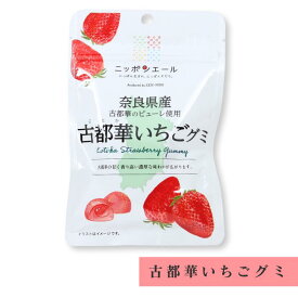 古都華いちごグミ 全国農協食品 40g お土産 おみやげ ギフト 名物 人気 贈り物