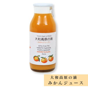 a̓H ݂W[X jPʏJ 170ml yY ݂₰ Mtg  lC 蕨 ޗ